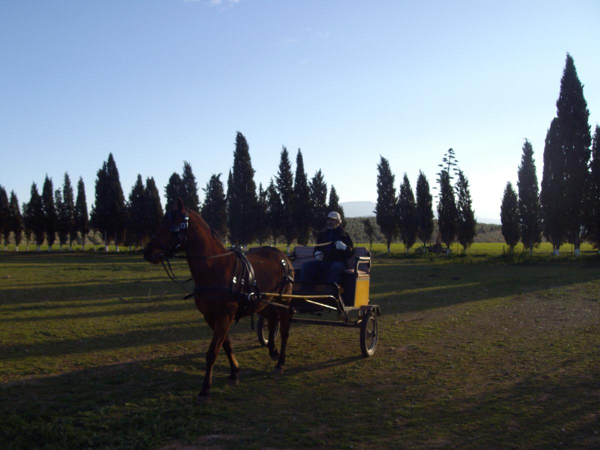 Cortijo Ferradores Умильядеро Экстерьер фото