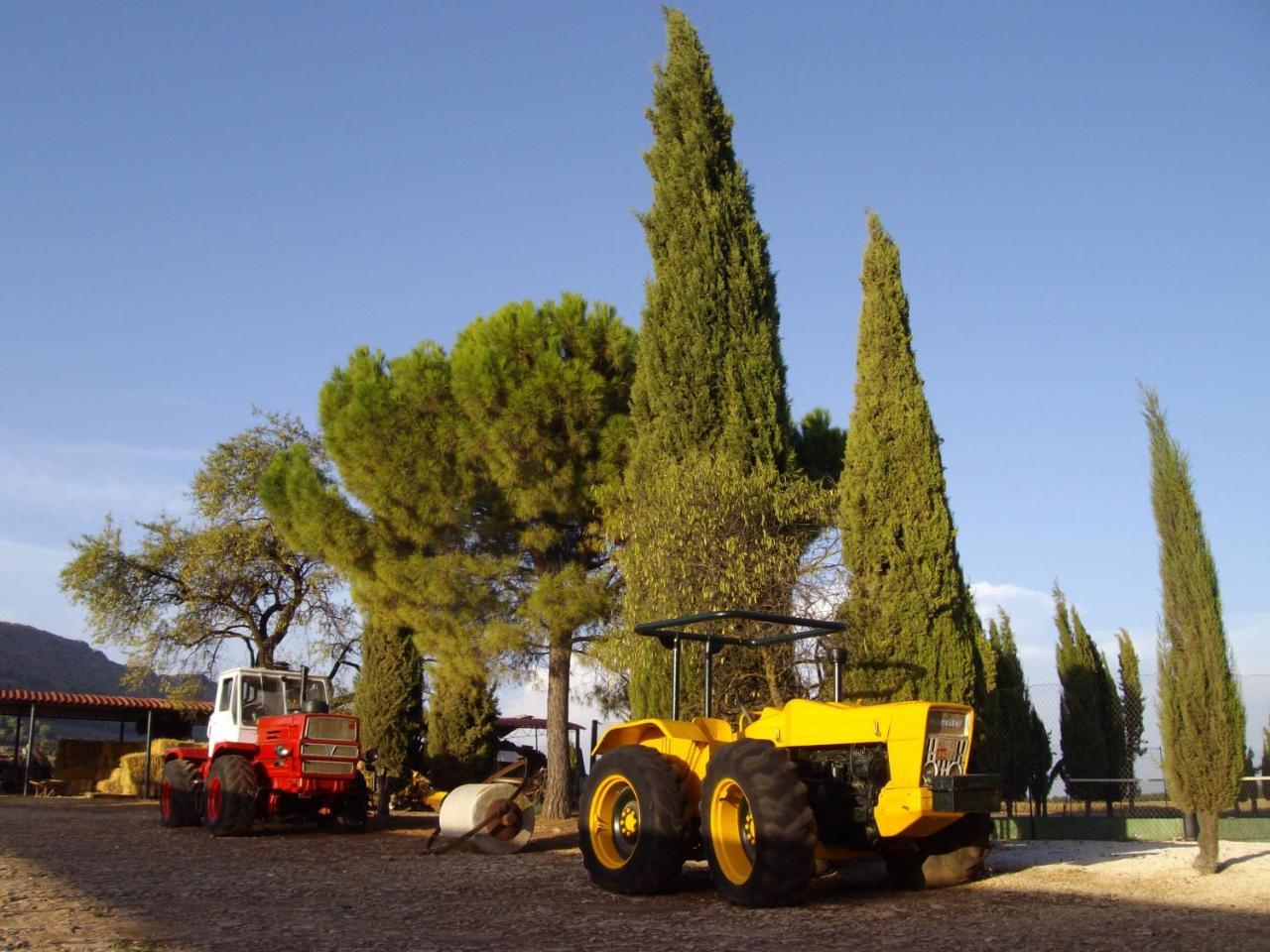 Cortijo Ferradores Умильядеро Экстерьер фото
