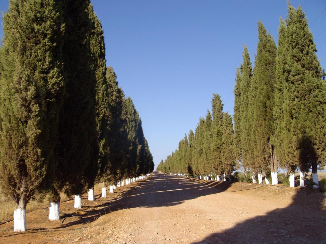 Cortijo Ferradores Умильядеро Экстерьер фото