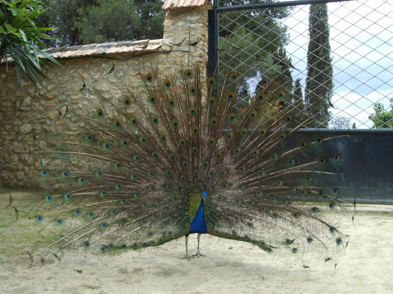 Cortijo Ferradores Умильядеро Экстерьер фото