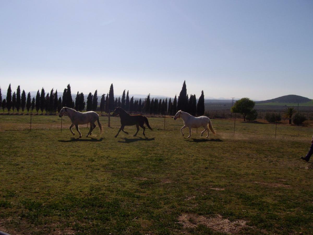 Cortijo Ferradores Умильядеро Экстерьер фото