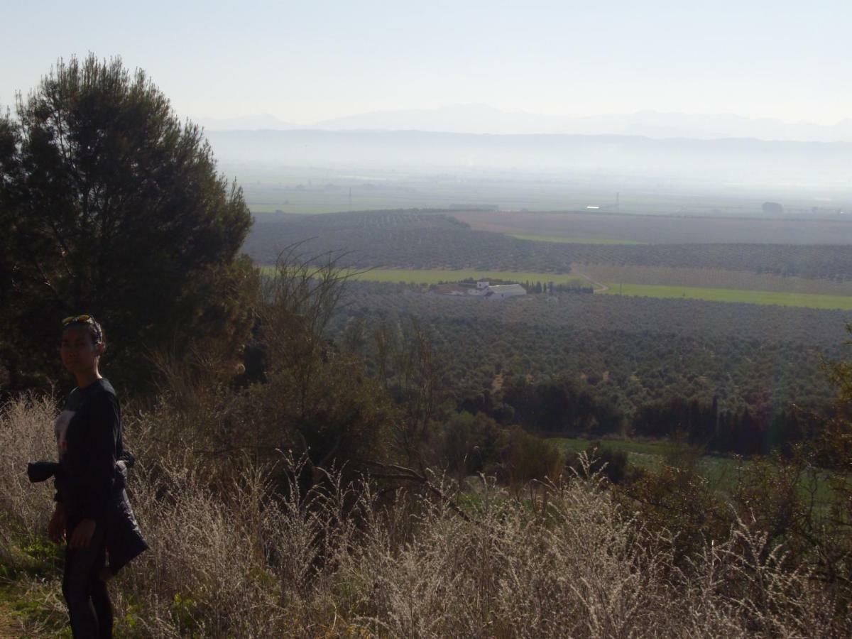 Cortijo Ferradores Умильядеро Экстерьер фото