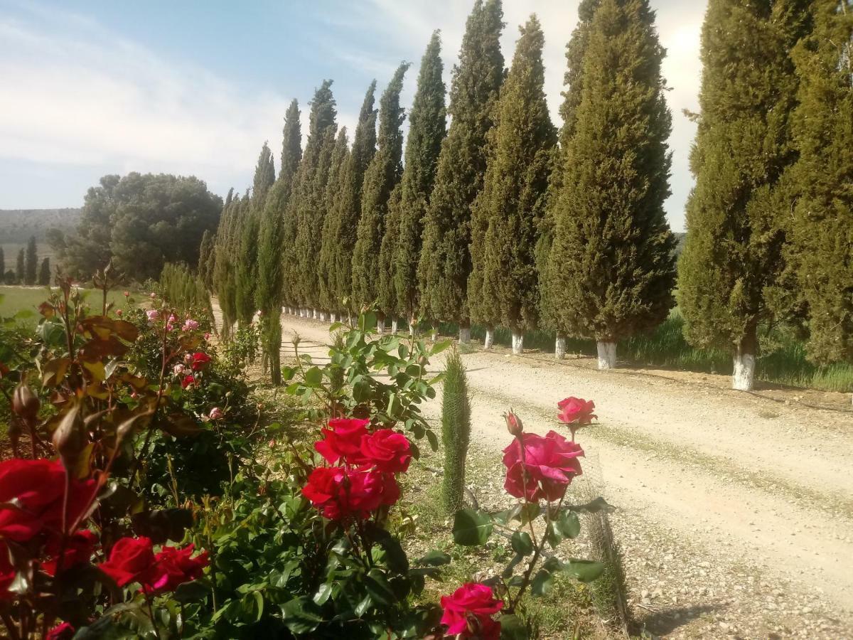Cortijo Ferradores Умильядеро Экстерьер фото