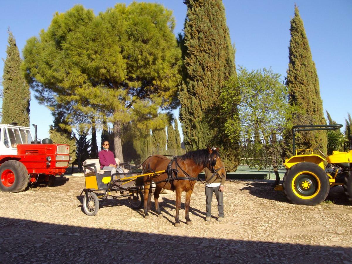 Cortijo Ferradores Умильядеро Экстерьер фото